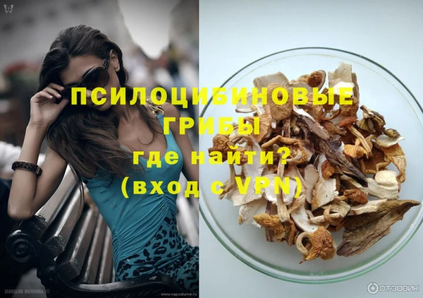 PSILOCYBIN Абинск
