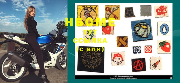 хмурый Абаза