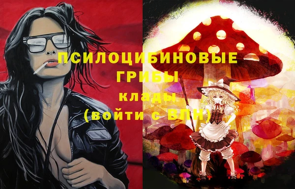 хмурый Абаза