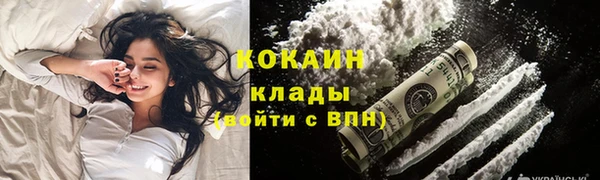 хмурый Абаза
