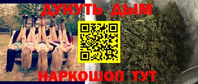 Альфа ПВП Дубна
