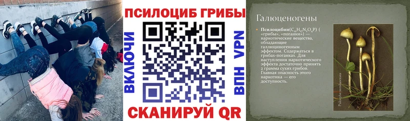 hydra   Воронеж  Псилоцибиновые грибы GOLDEN TEACHER 