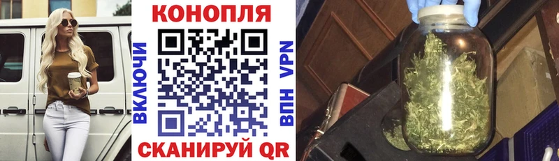 как найти закладки Воронеж Бошки марихуана конопля